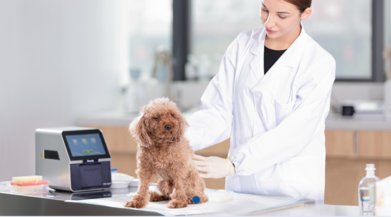Vet Chemistry Analyzer: What It Is and How It Works